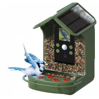 Braun Bird Cam 130 solar Wildkamera